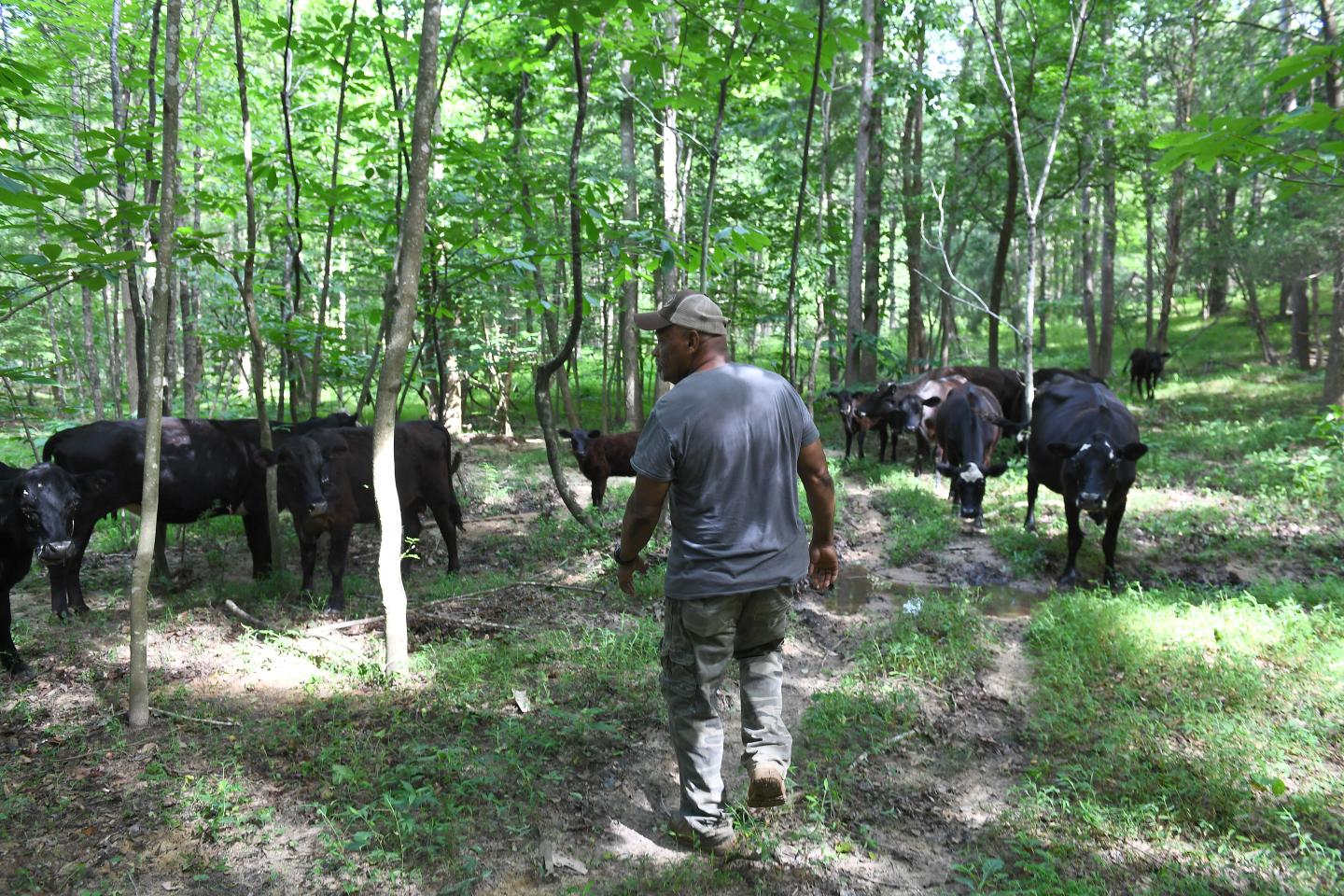 black farmer on farm