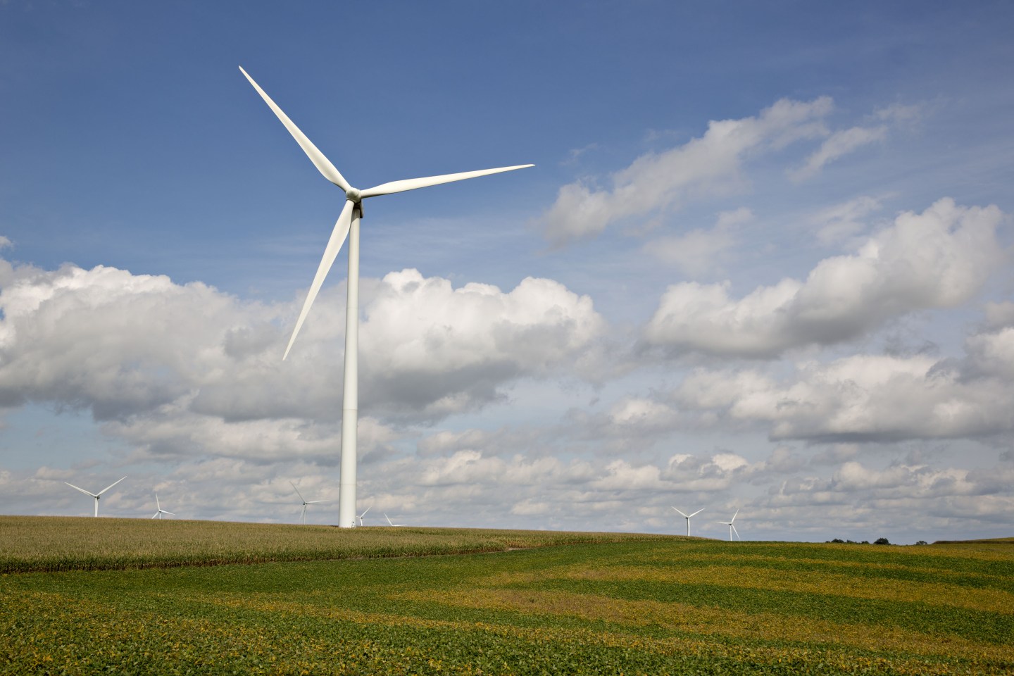 In pursuit of ‘net zero,’ Spain’s Iberdrola bets big on America