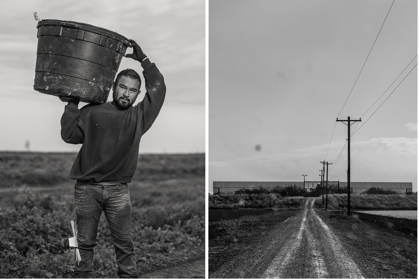 Jose, 25, cuts and ties cilantro. He works not far from one of the border fences.