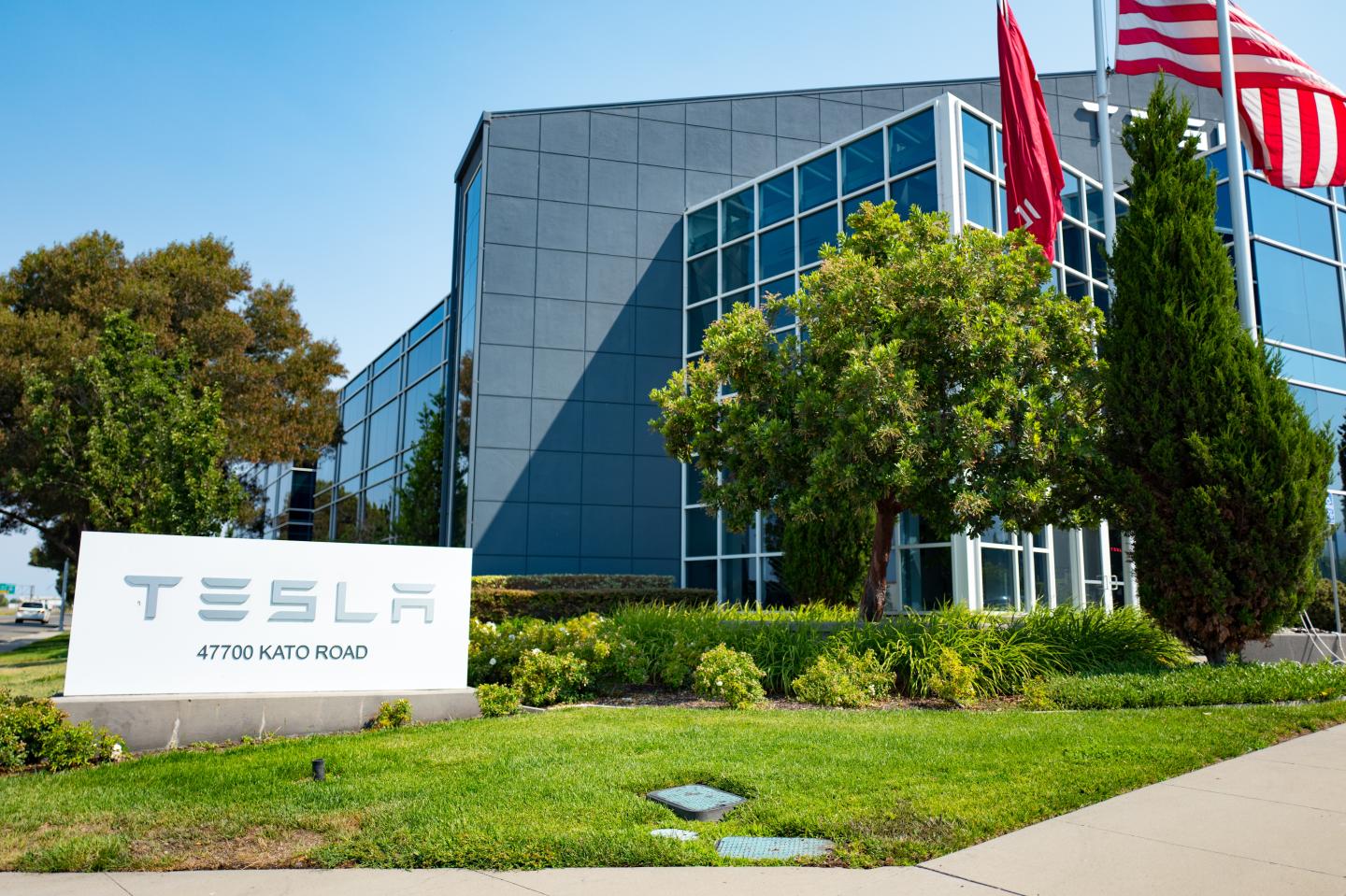 Why Tesla stock could go to $1,000, according to a Wedbush analyst