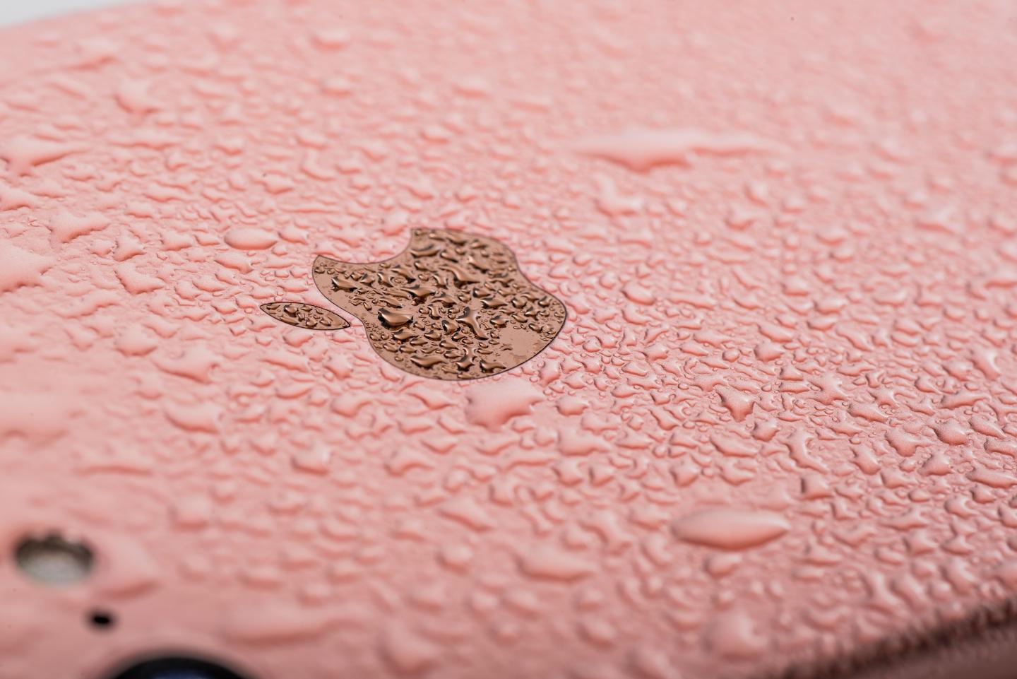 Detail of a 2016 Apple iPhone 7 smartphone with a Rose Gold finish beaded with moisture, taken on September 22, 2016.