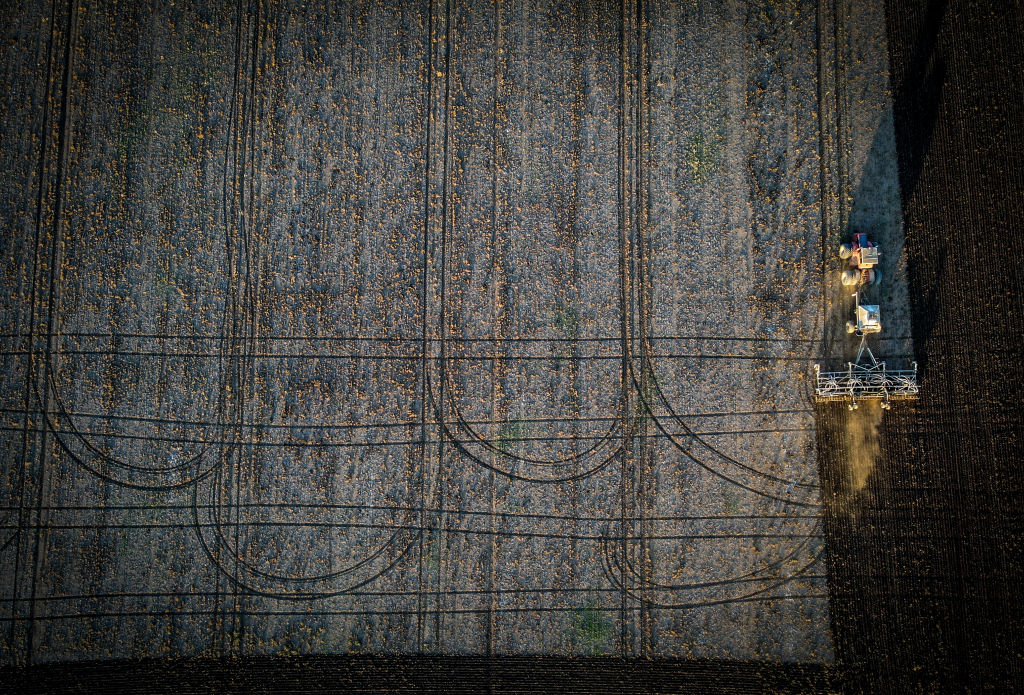 New South Wales' Agrarian Economy as China Considers More Economic Pain for Australian Exports