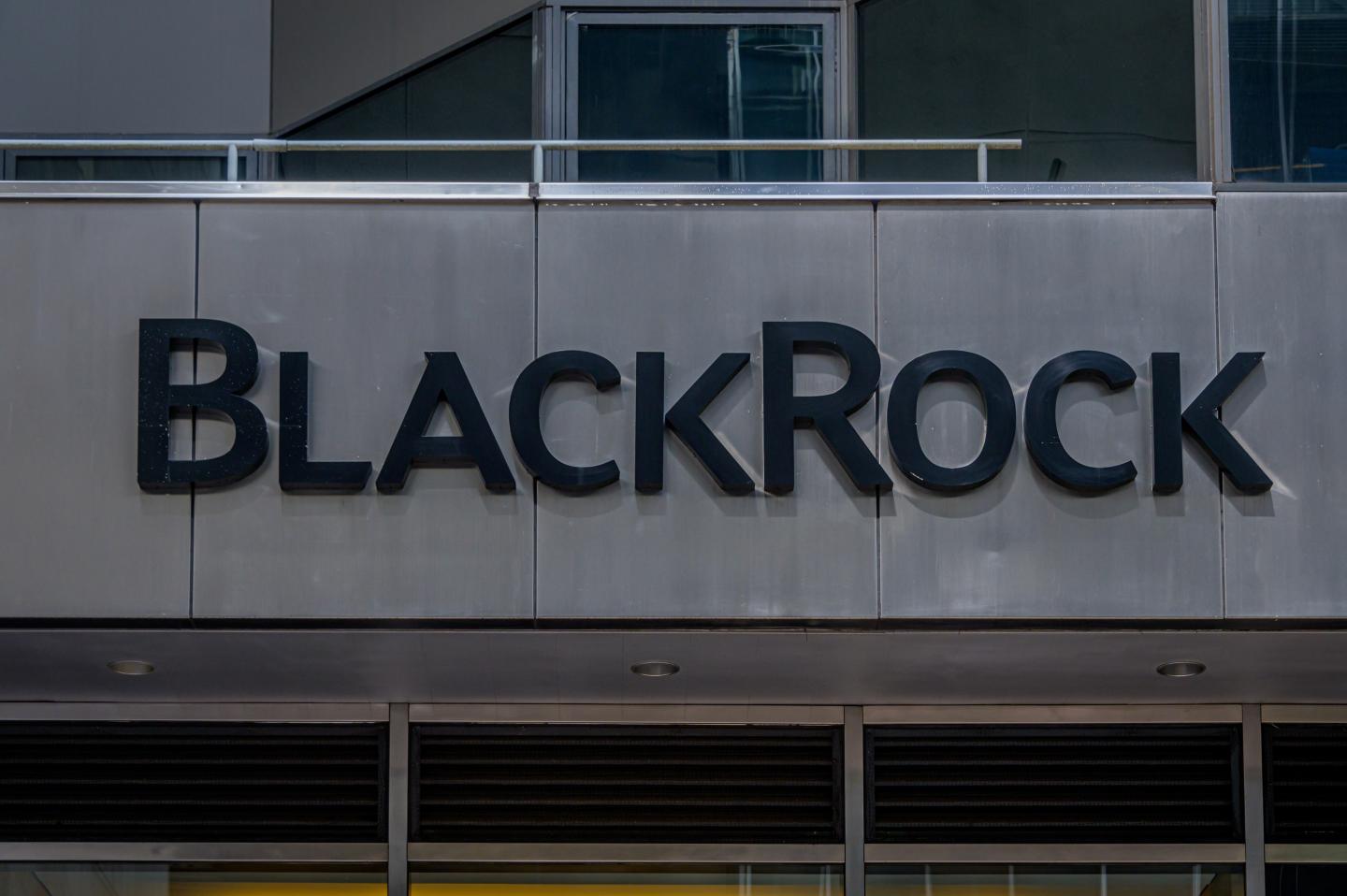 EU watchdog warns of risks after BlackRock appointed as ESG advisor