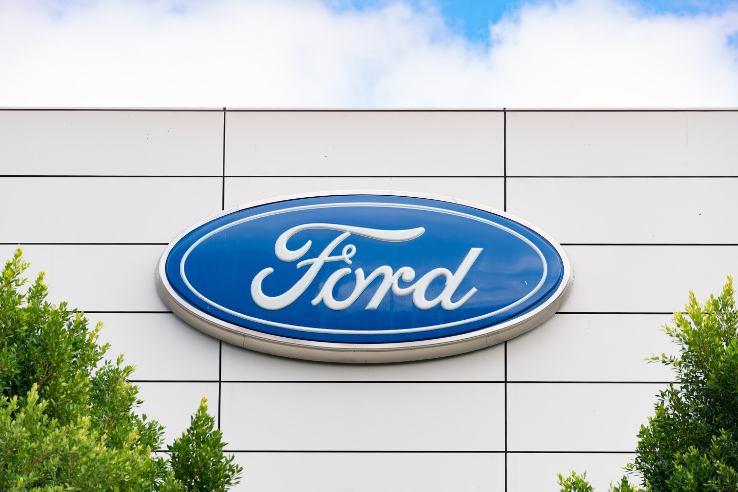 Ford adds a van to its lineup of electric vehicles