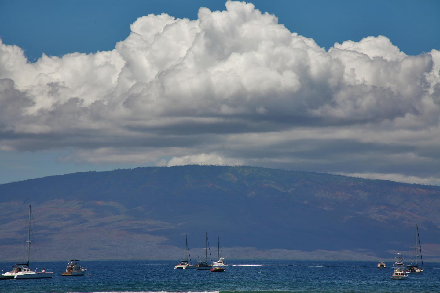 Hawaiian paradise controlled by billionaire Larry Ellison is hit hard by COVID