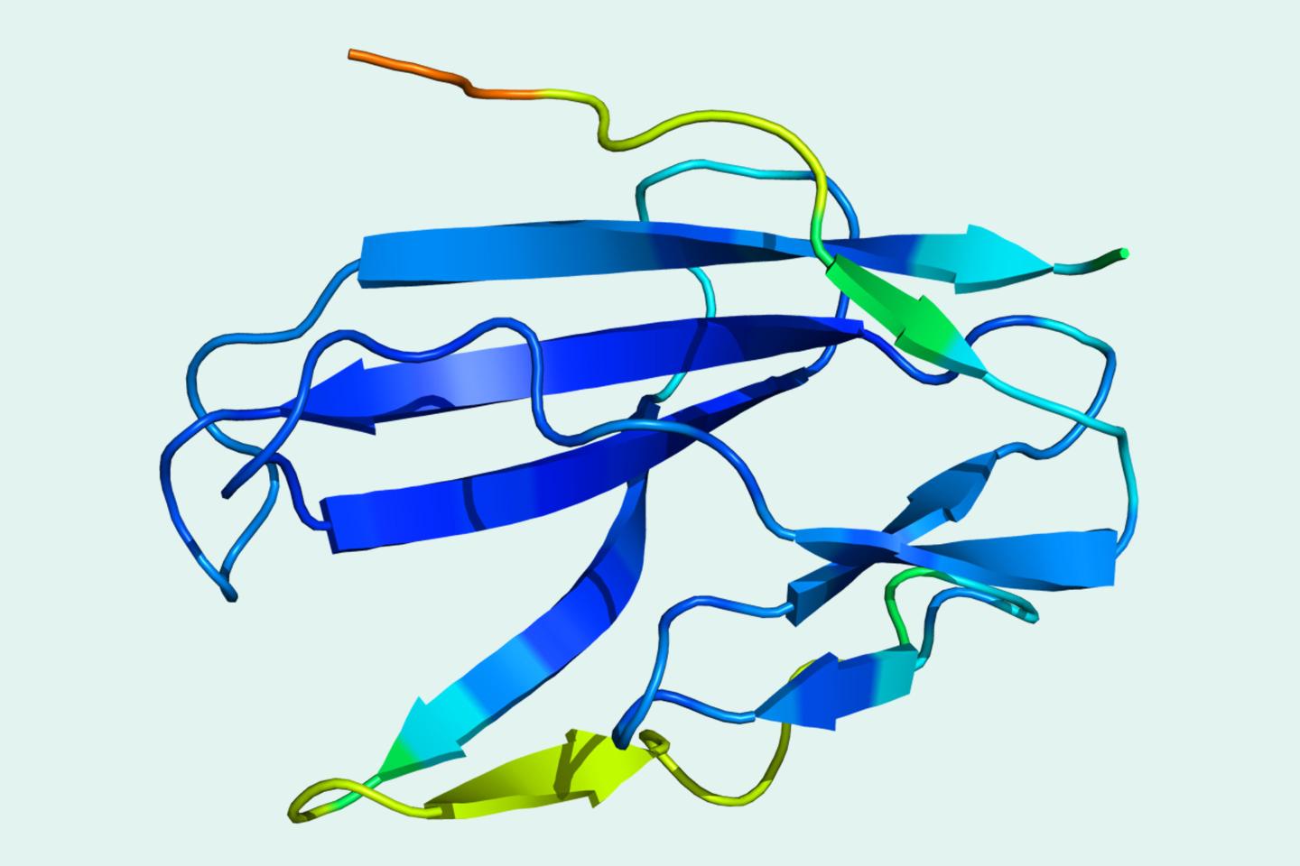 A computer-generated image of ORF8, a protein associated with the coronavirus that causes COVID-19. The protein was mapped using an A.I.-driven system developed by DeepMind.