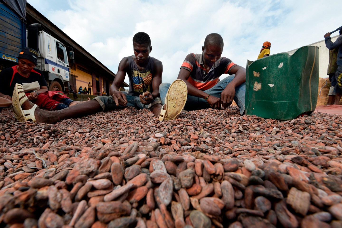 Big Chocolate-Cocoa Beans-Ivory Coast