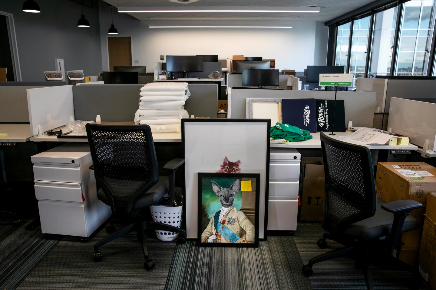 Empty Office Space-Office Survey