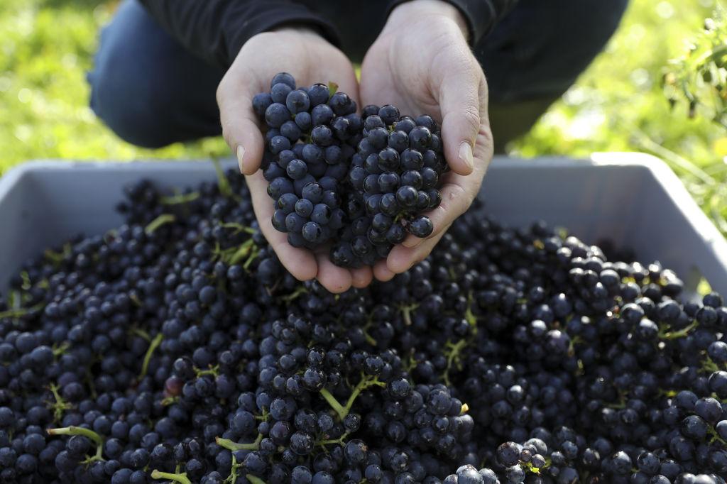 8 ways wine will change in 2021
