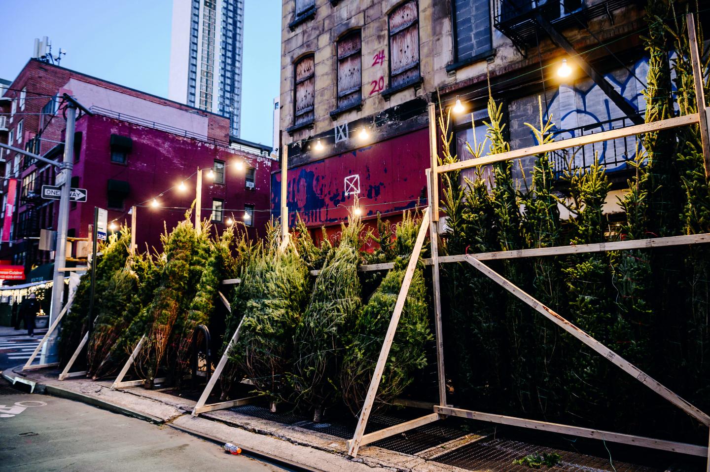 Even COVID can’t stop New York City’s sidewalk Christmas tree vendors