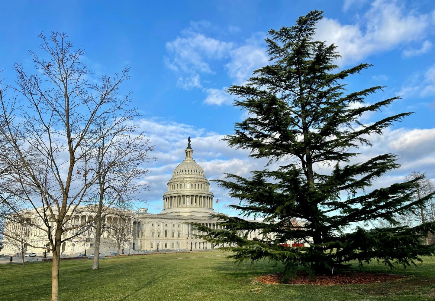 Louisiana’s newest Republican member of the U.S. House died from COVID-19 before being sworn into office