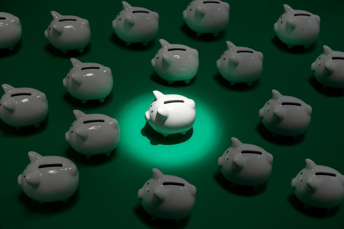 Personal Finances Survival in Pandemic