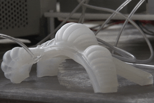 Commentary-Soft Robots