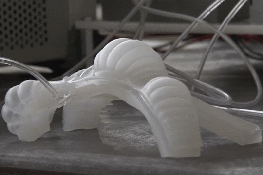 Commentary-Soft Robots
