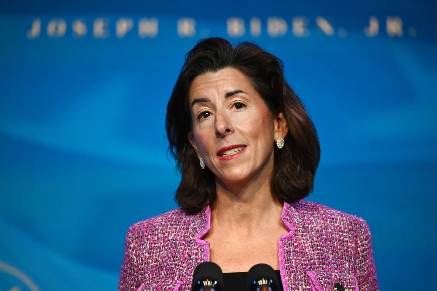 Biden Cabinet-Gina Raimondo