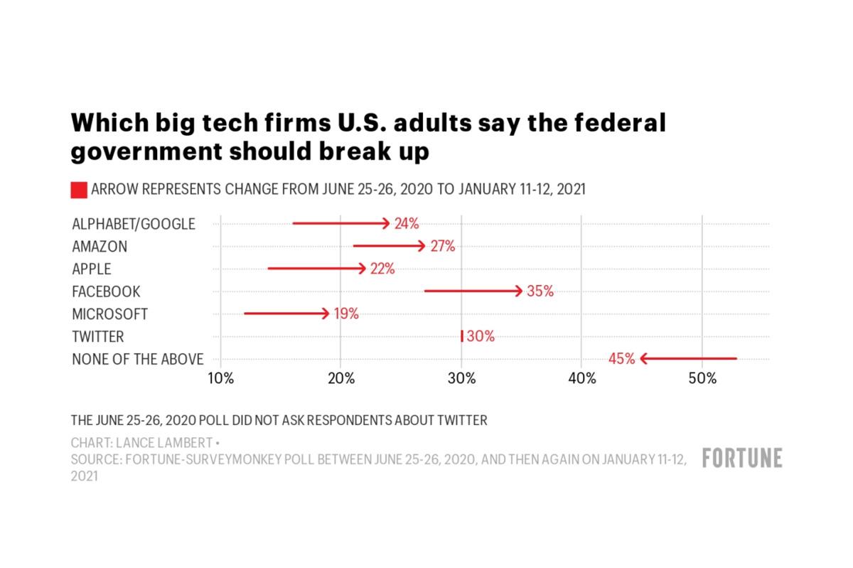 Big Tech-Poll