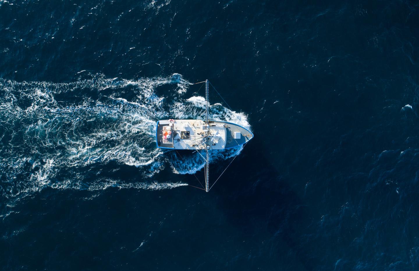 How this family-run seafood business banded together to stay afloat for the next generation