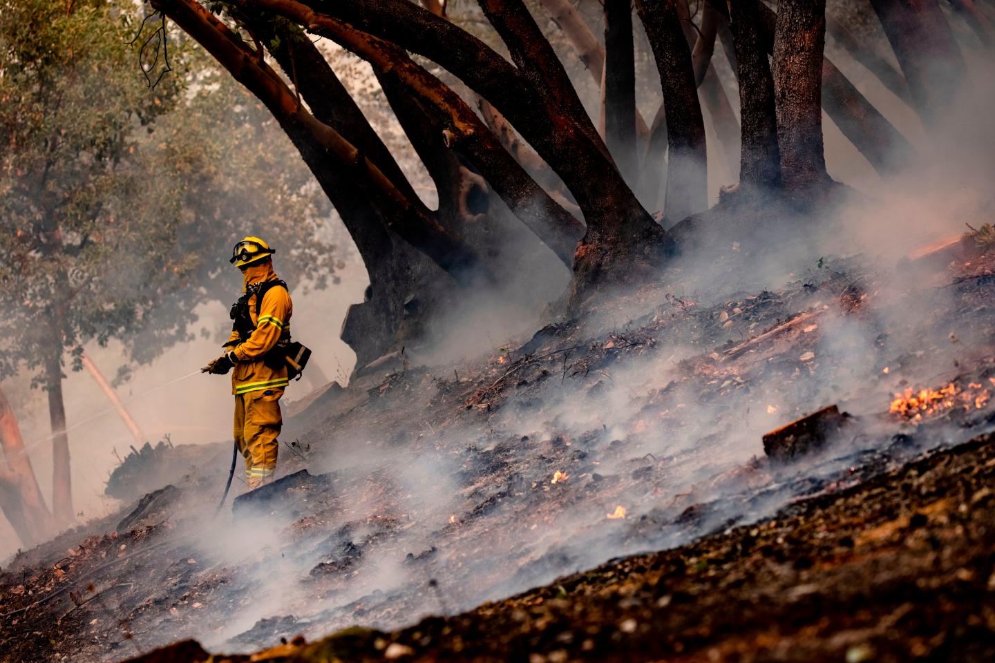 2020 ties with 2016 for warmest year ever recorded, EU climate service says