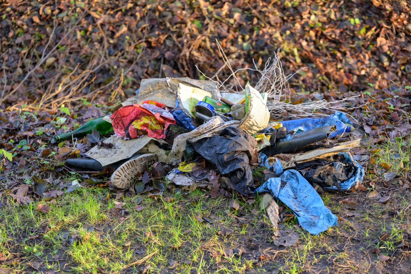 Nearly half of eco-friendly product claims could be breaking the law
