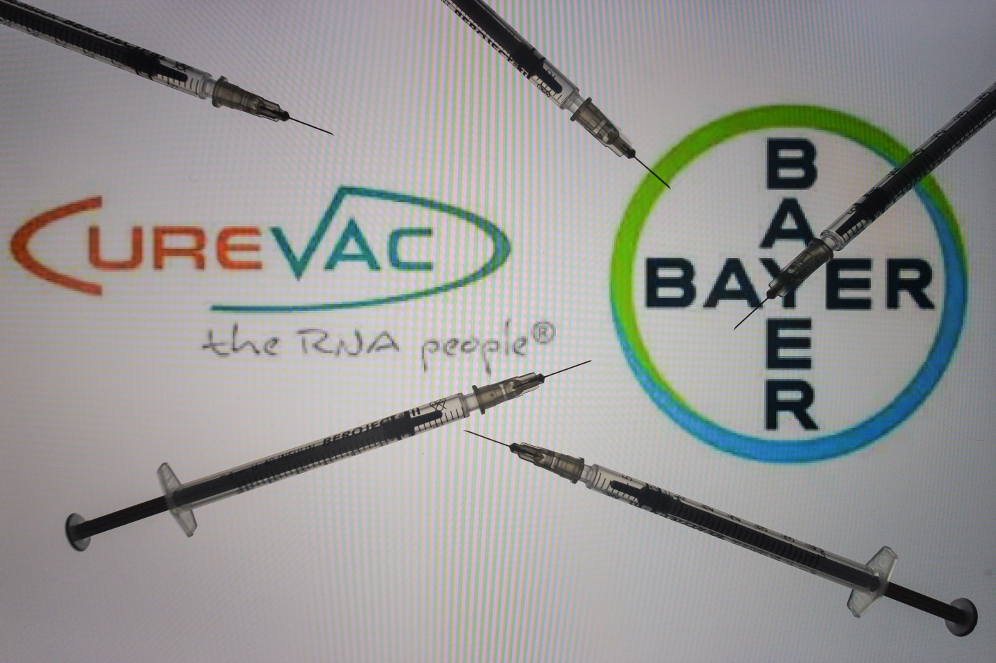An illustrative image of medical syringes in front of CureVac and Bayer logos displayed on a screen.