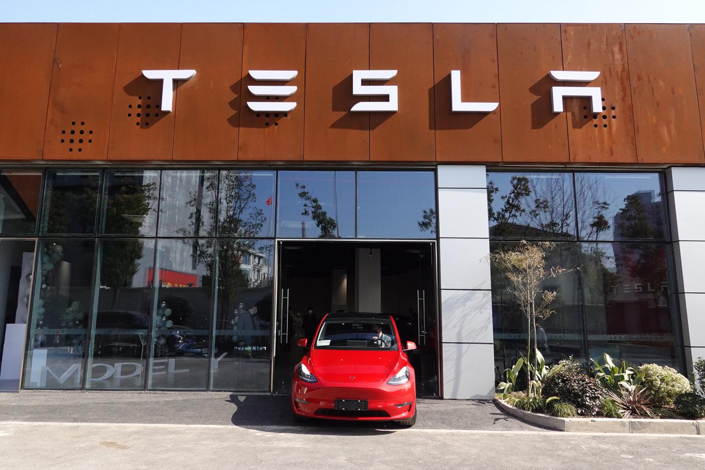 Tesla Earnings-Model Y