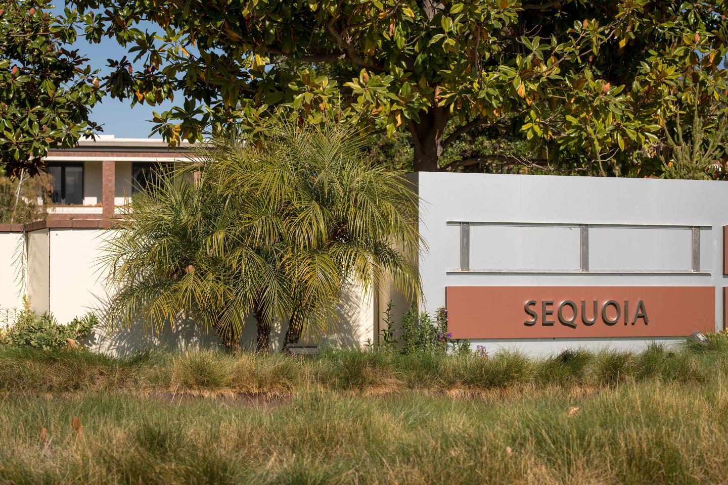 The careful distinction Sequoia Capital makes in its Black Swan follow-up