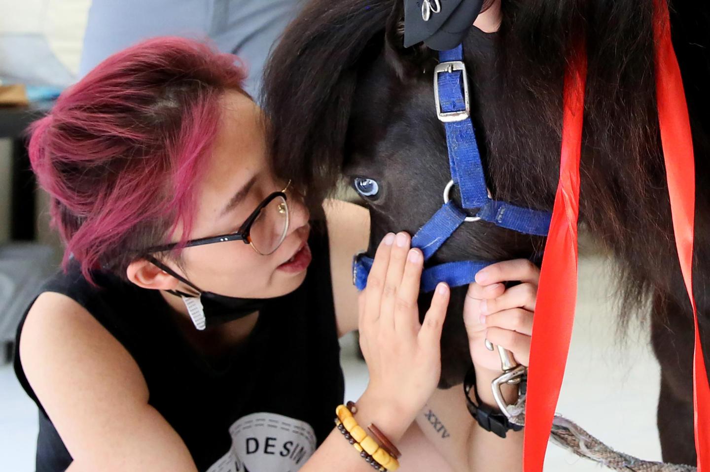 Airlines boot emotional support animals off the plane—for good