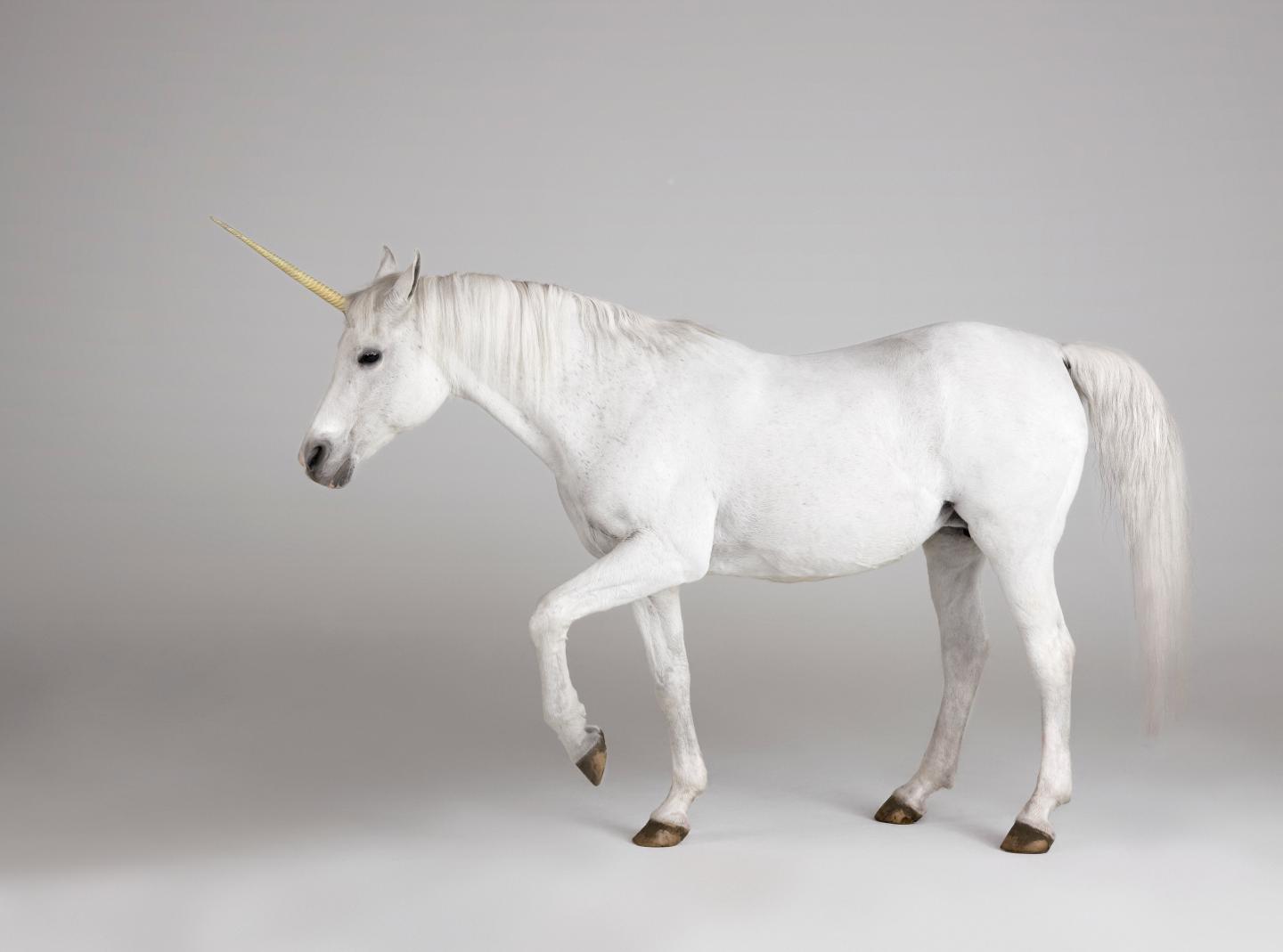 These 5 companies are now the highest-valued U.S. unicorns in 2021