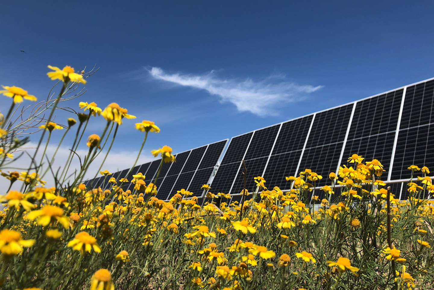 Solar panels at the Taygete I energy installation, the site of Nestlé’s largest direct investment (by capacity) in a renewable energy project to date. “Nestlé can only deliver on our environmental ambitions if we create the space to invest in these efforts,” writes CEO Mark Schneider.