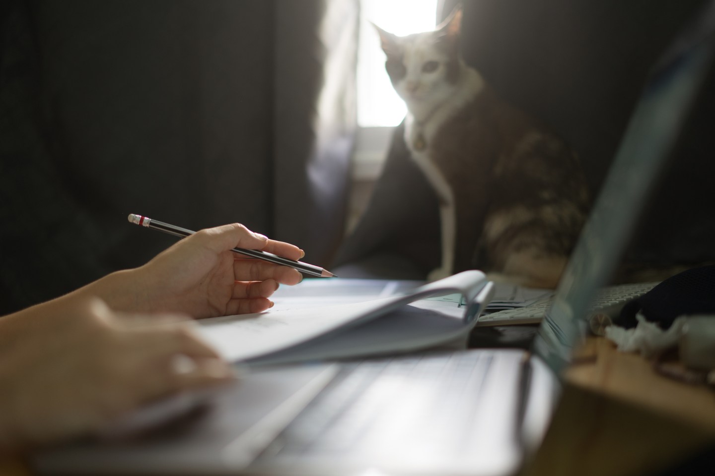 asian student female start up working with laptop computer and notepad