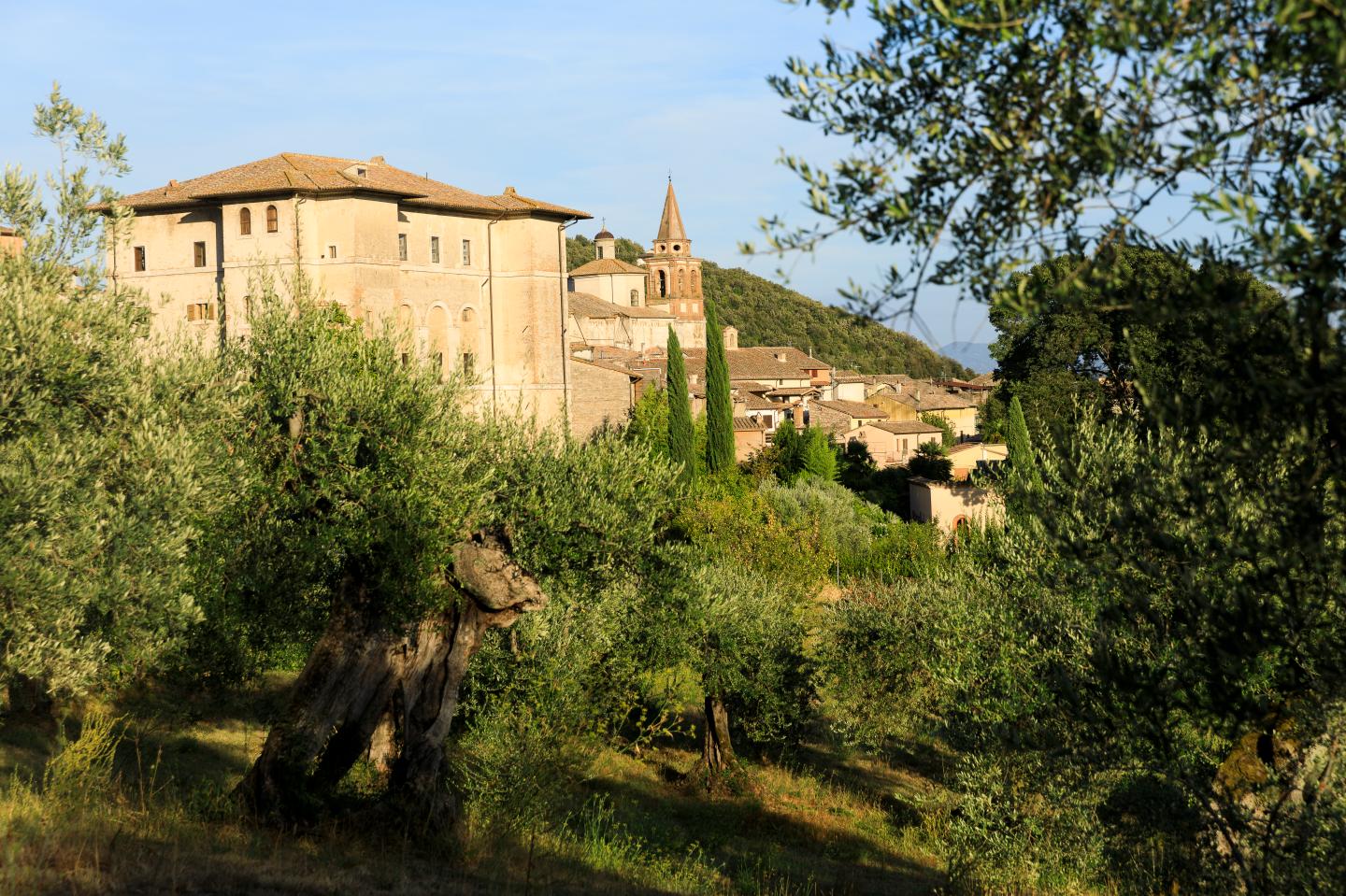 Italian countryside