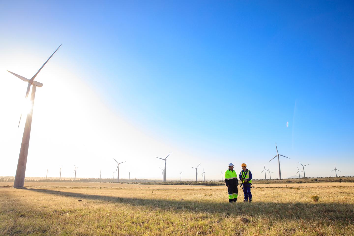 One of America’s biggest pension funds is backing a bolder climate policy. Other investors should get on board