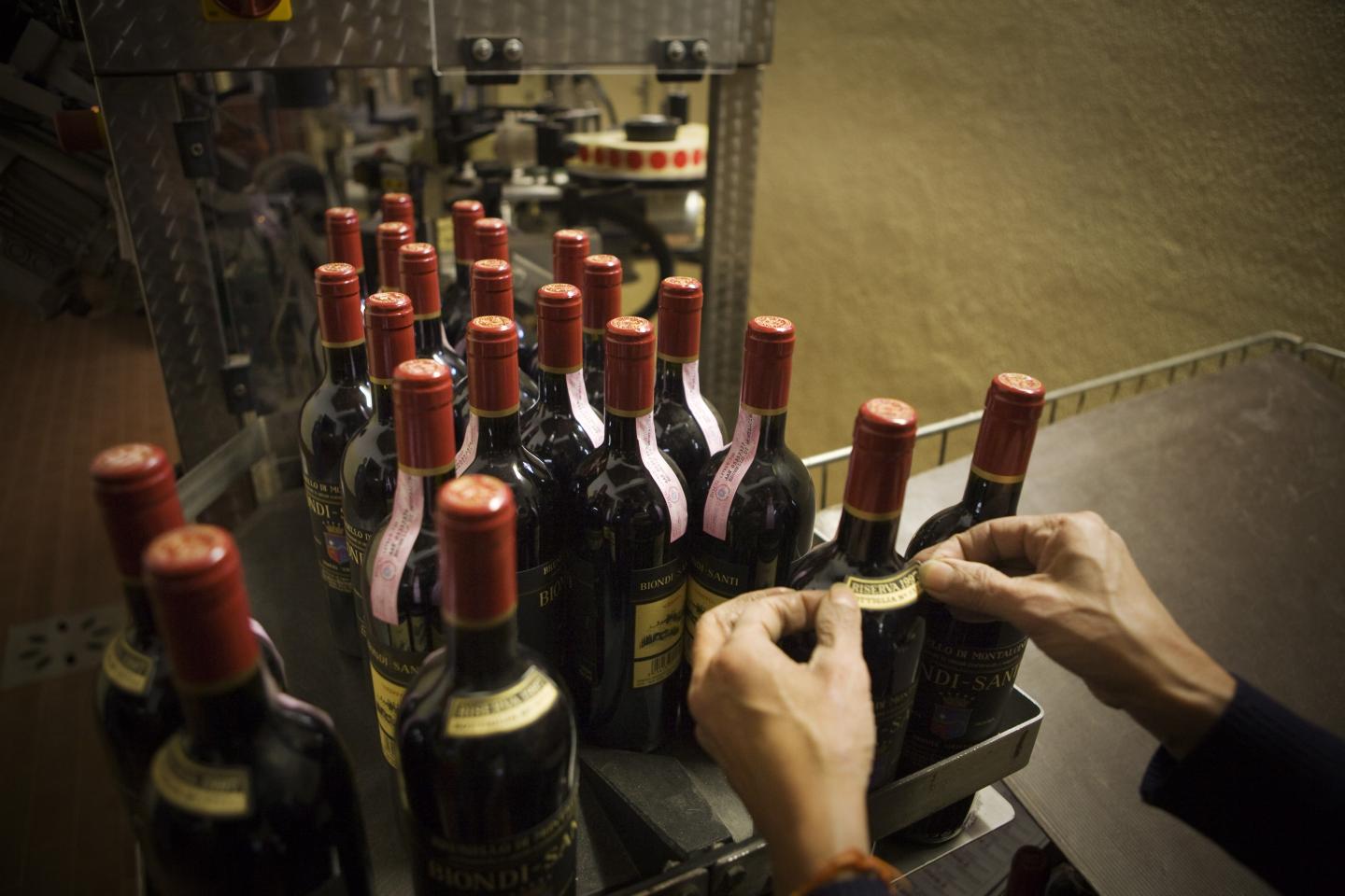 After drought, disease, and now COVID, old-world winemakers adapt as only ancient businesses can