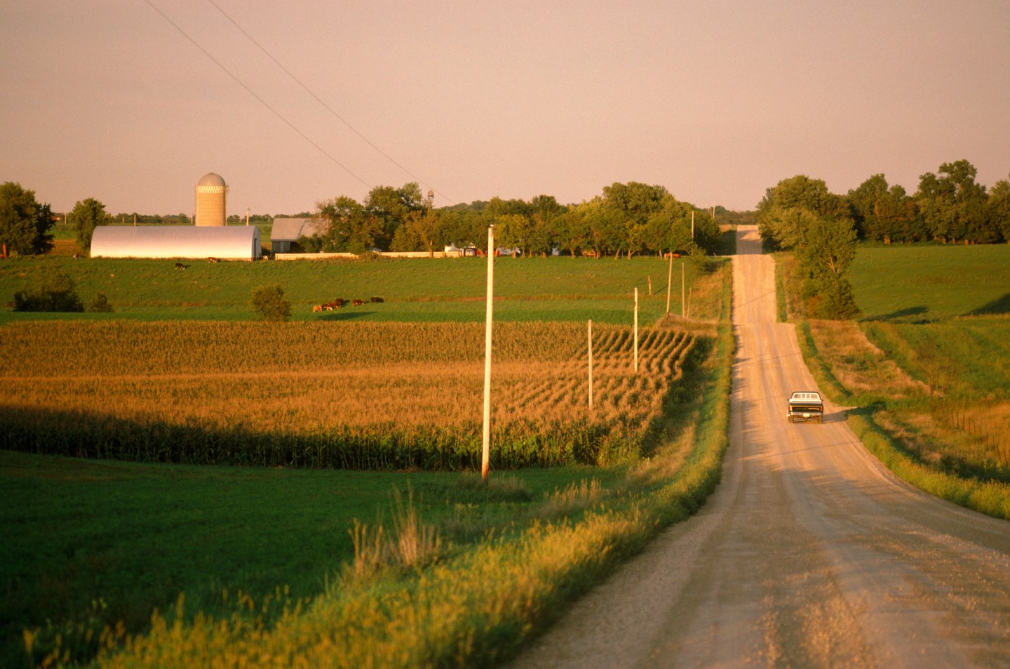 Rural pharmacies COVID