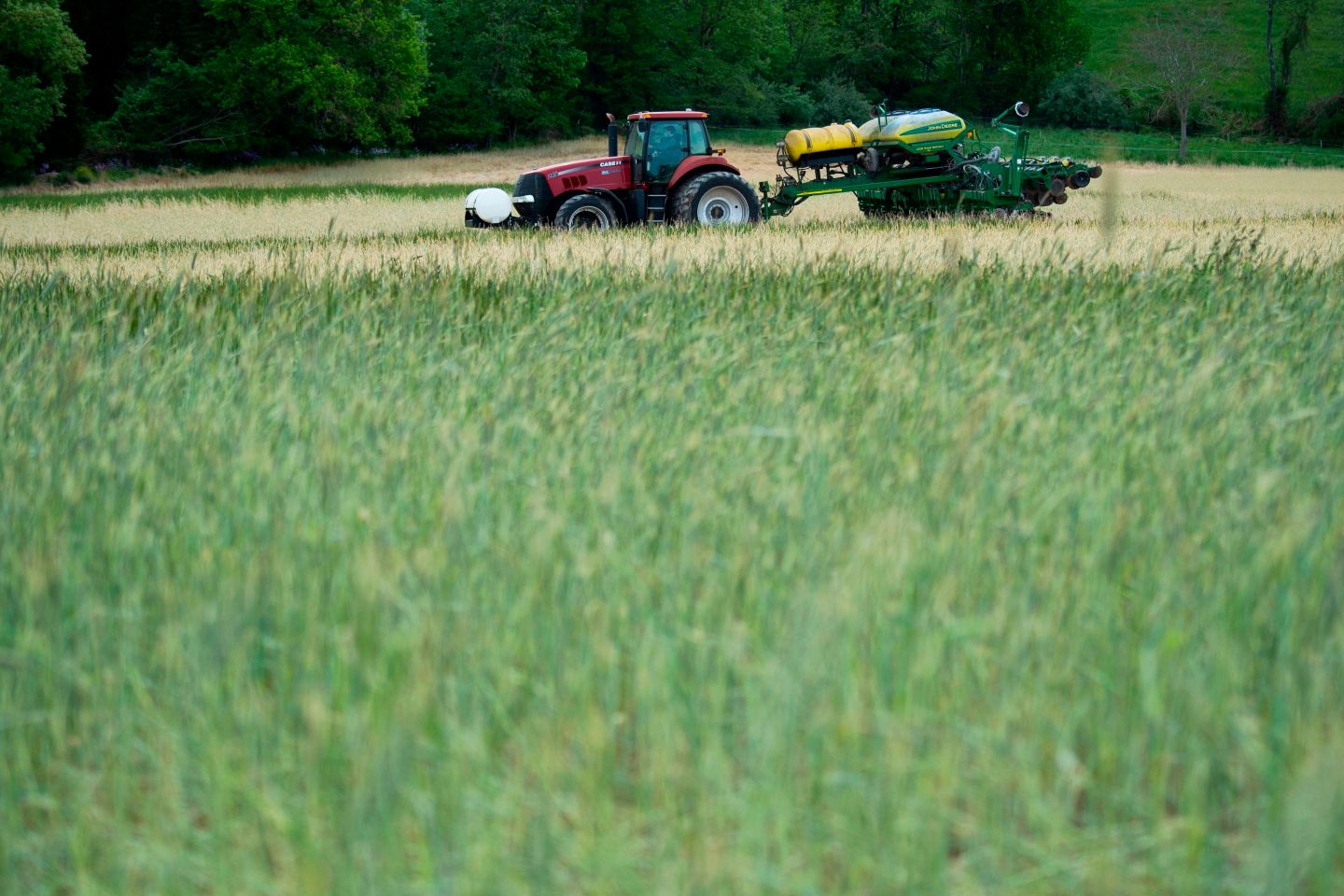 China is already scooping up U.S. corn from the next harvest
