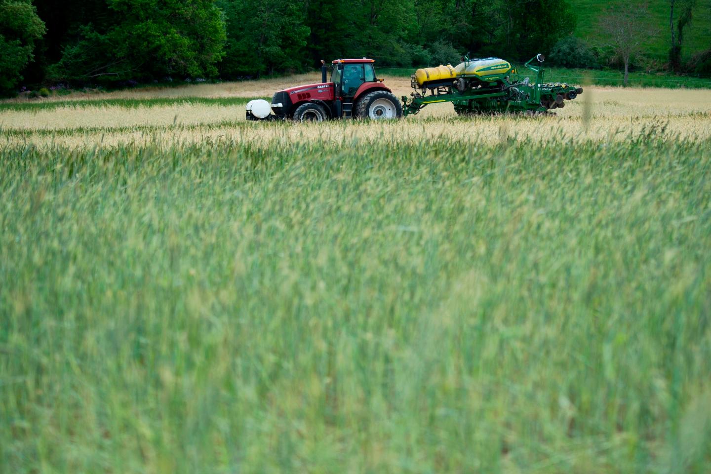 China is already scooping up U.S. corn from the next harvest