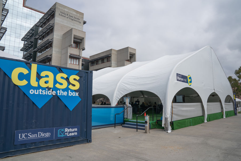 COVID’s educational impact: 25% of students postponed college