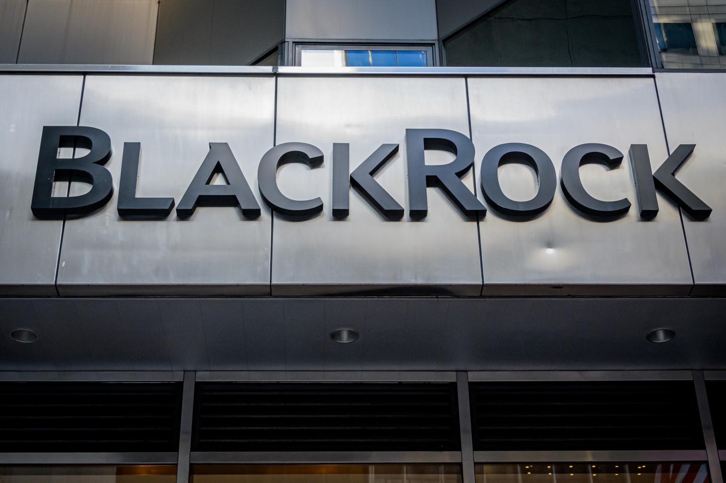 BlackRock pledges to conduct a racial audit of its business
