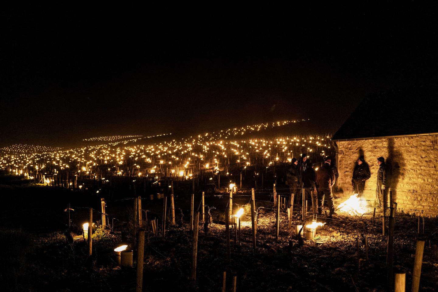 The posh bottles of wine so exclusive that you can’t just go out and buy