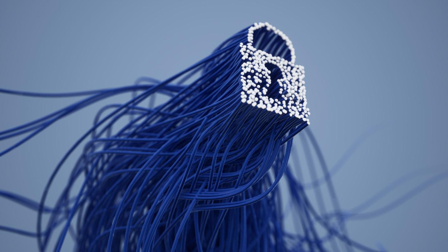 How to take data privacy back from the ‘tech gorillas’