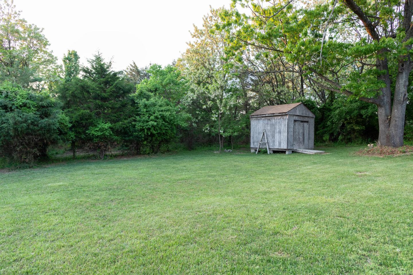 Backyard Shed