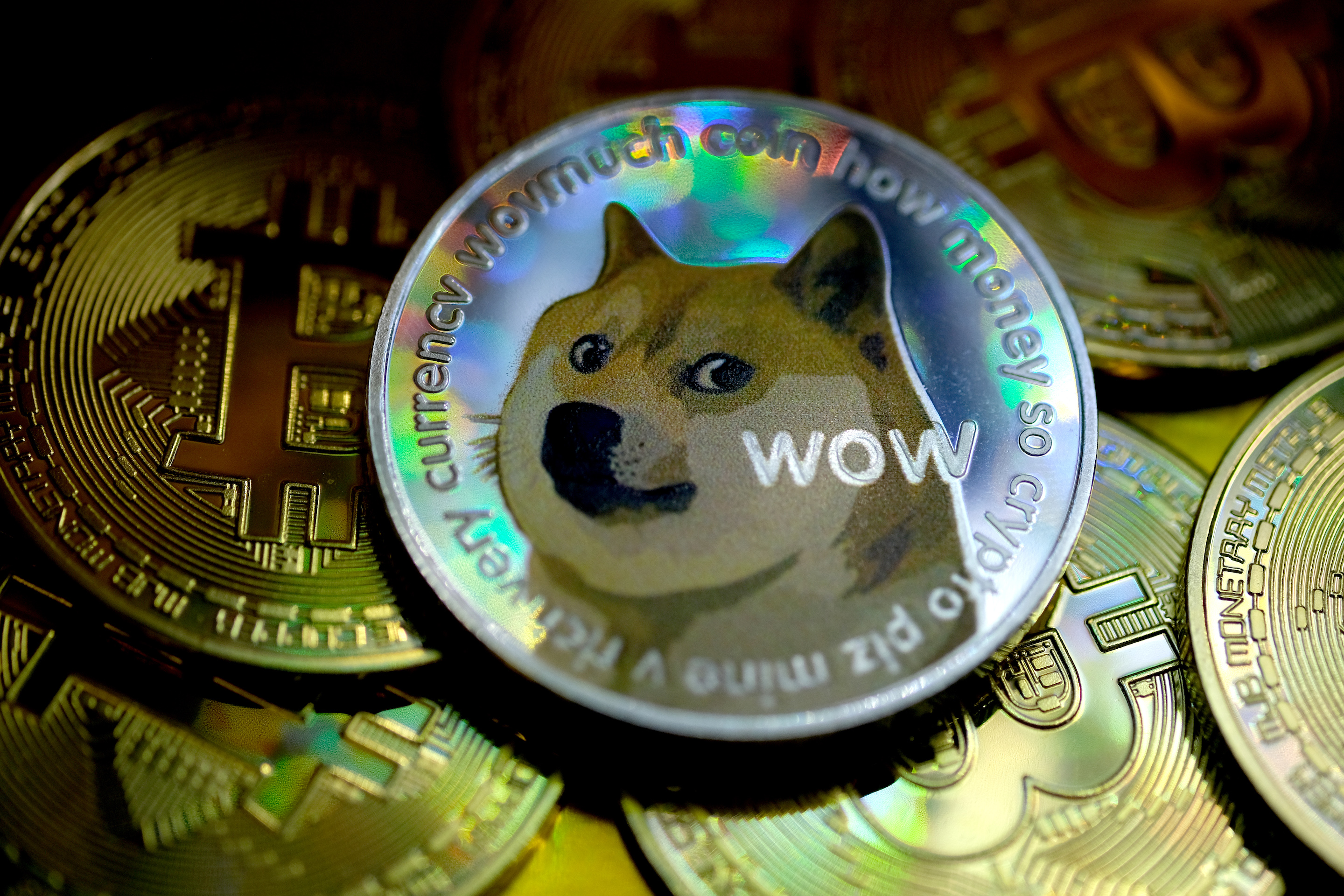 Doge Day: Dogecoin traders want to make April 20 a holiday for the  cryptocurrency | Fortune