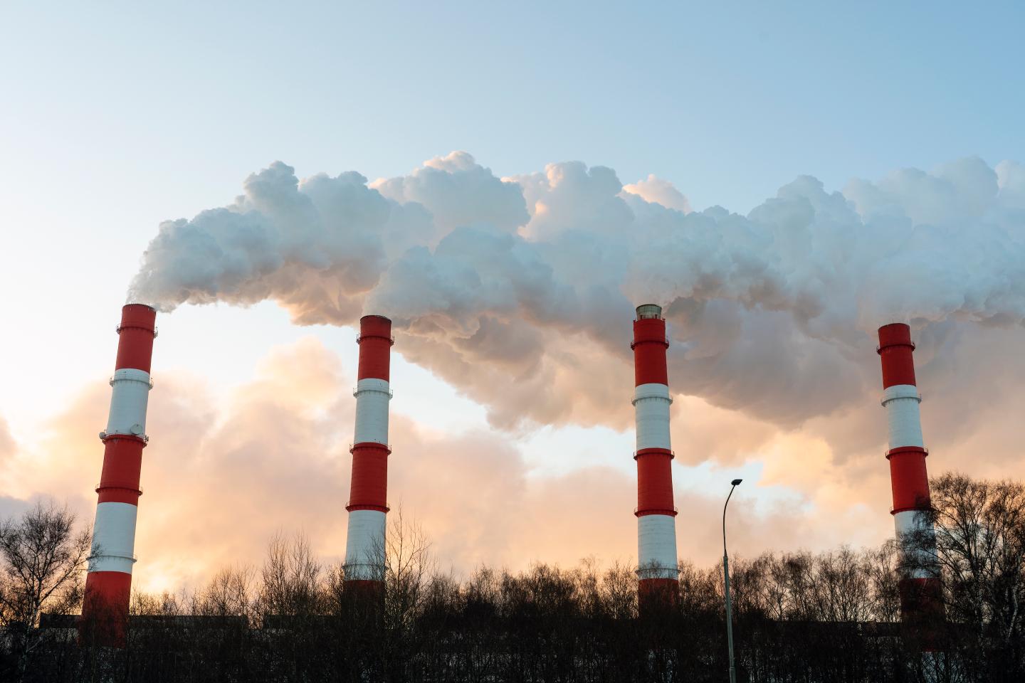 3 business leaders paving the way to a lower-carbon, lower-waste world