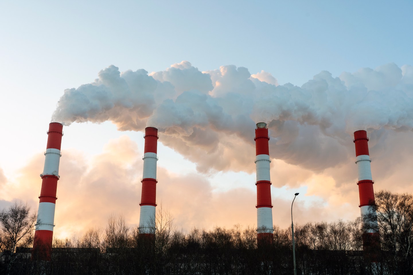 3 business leaders paving the way to a lower-carbon, lower-waste world