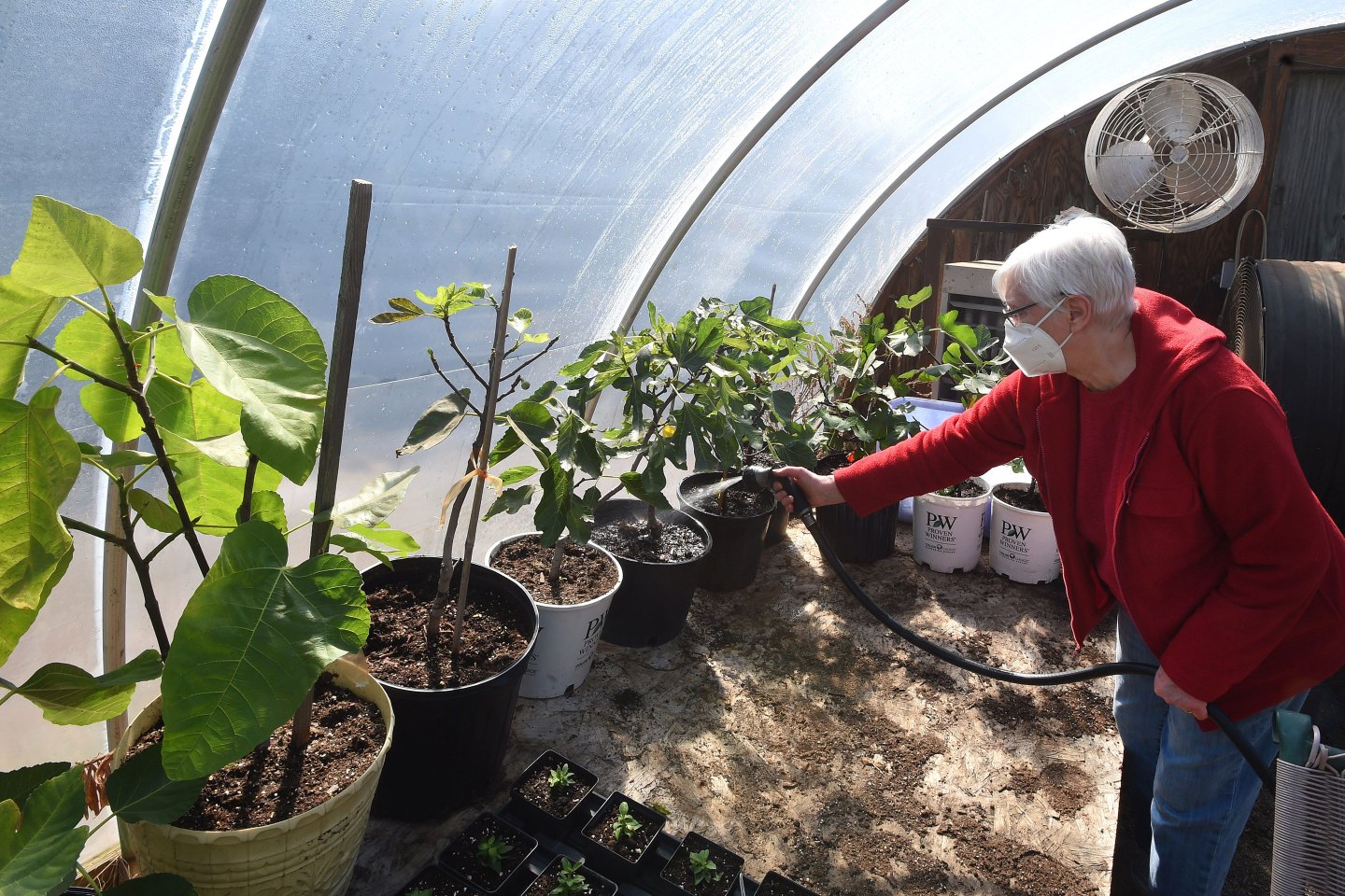 Home Improvement Trends-Garden