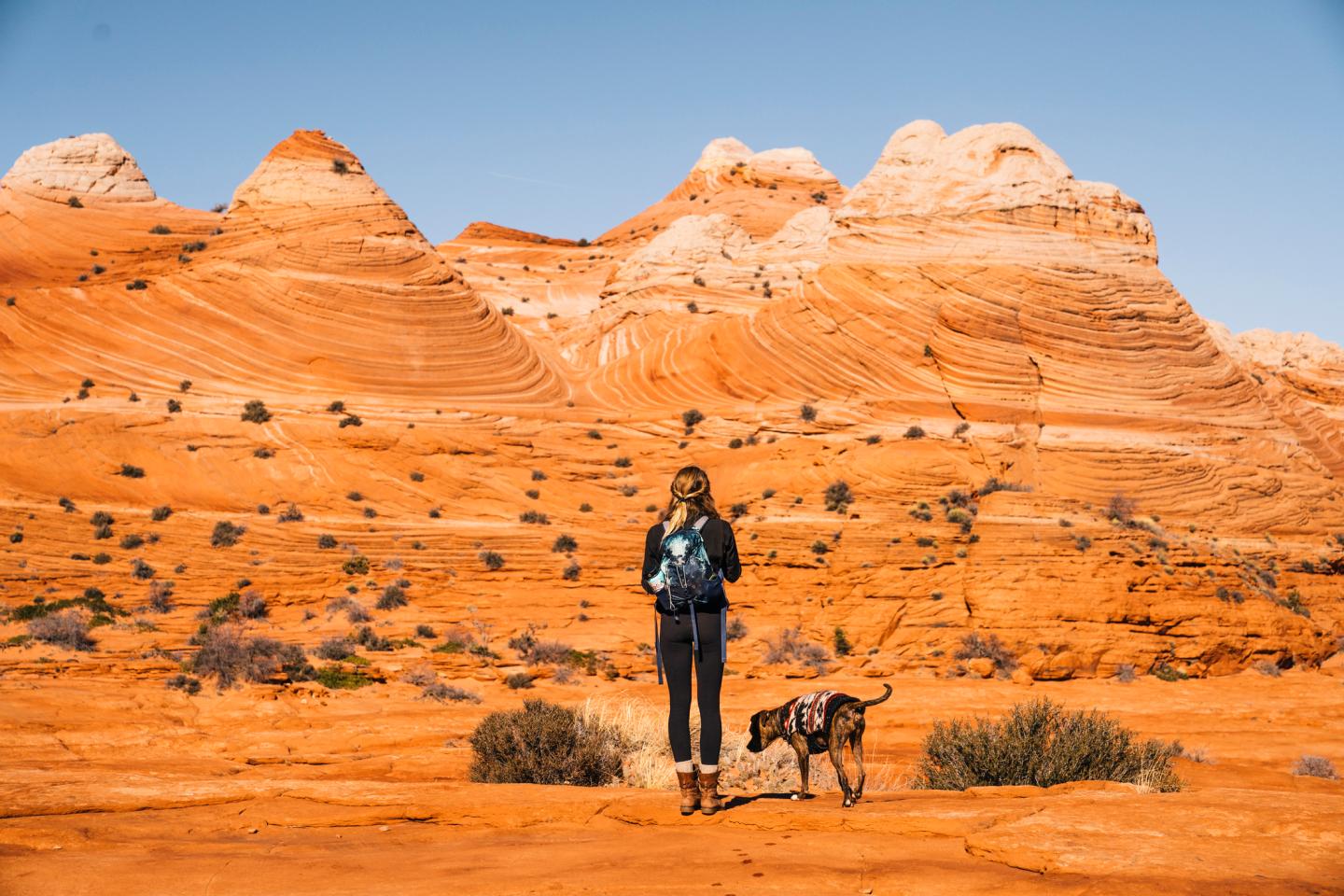 The necessary gear for your U.S. National Park visit this summer