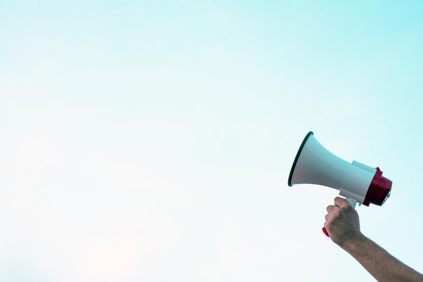 Should CEOs speak out about controversial social and political issues?