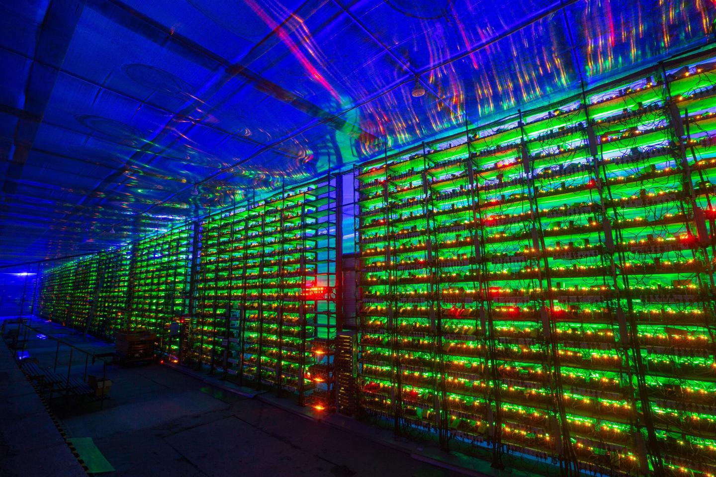 Mining rigs at a Bitcoin farm in Russia. “Bitcoin’s underlying blockchain technology could power the next era of human progress,” writes Alex Tapscott. “We need to steward this asset in a responsible way.”