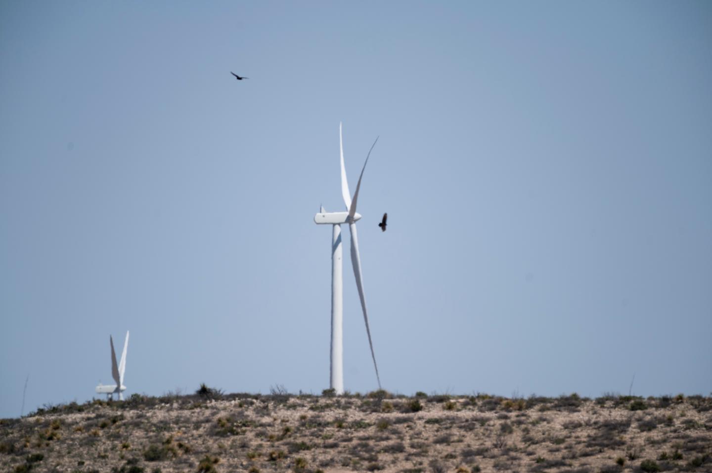 European renewables giant sues Texas for the massive loss it ran up during February ice storms