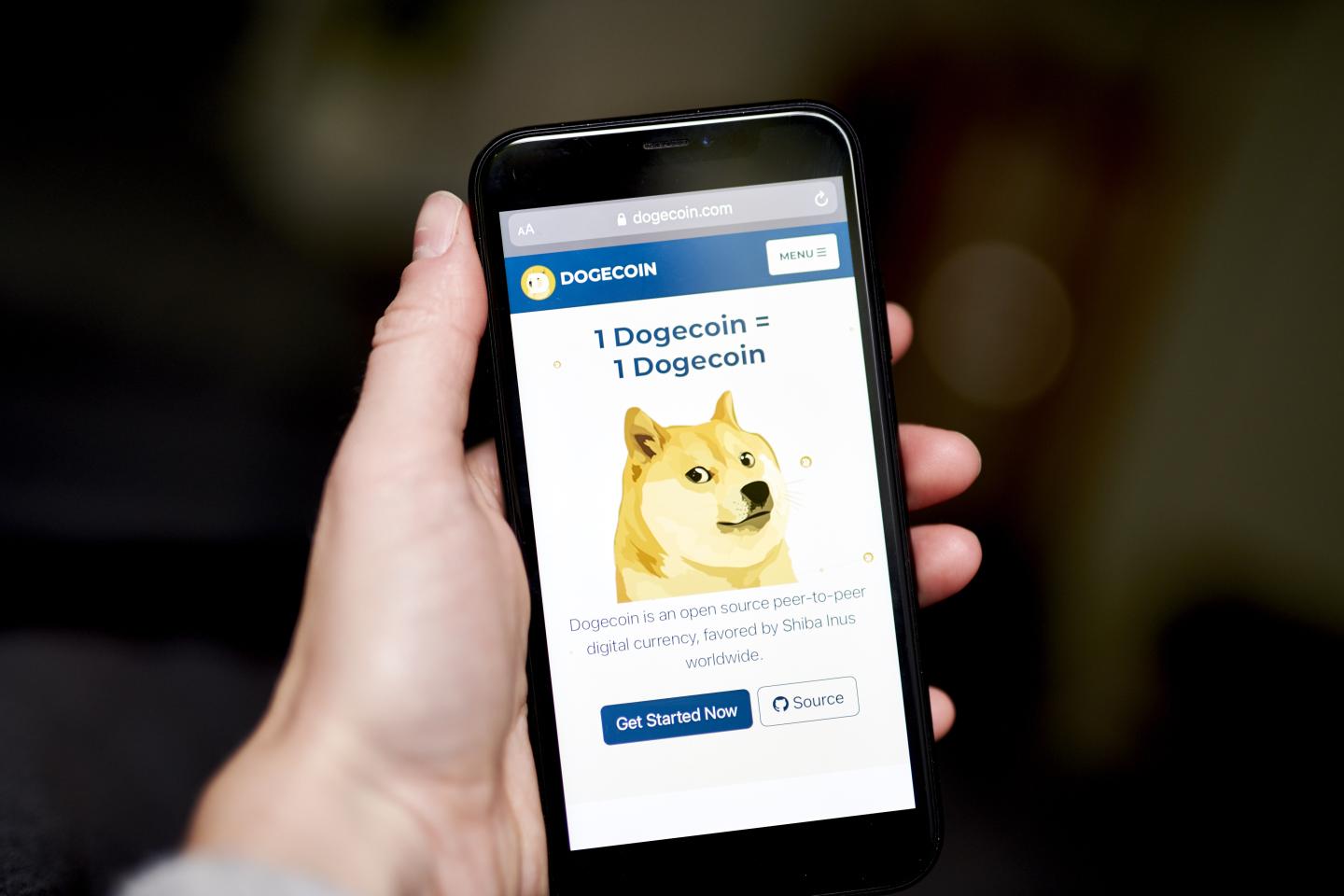 No joke: Dogecoin soars after Musk polls his followers whether Tesla should accept it